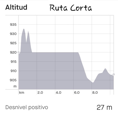 Ruta Novatos 20 km